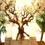 Albero della vita e